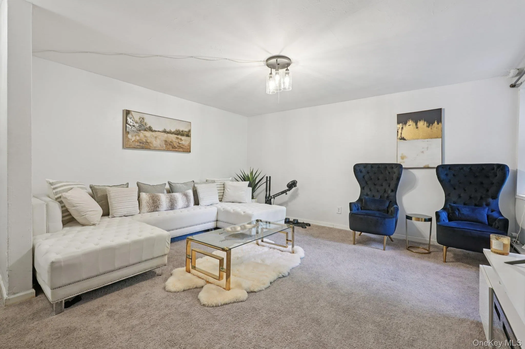 Living room with carpet and baseboards Living room with carpet and baseboards
