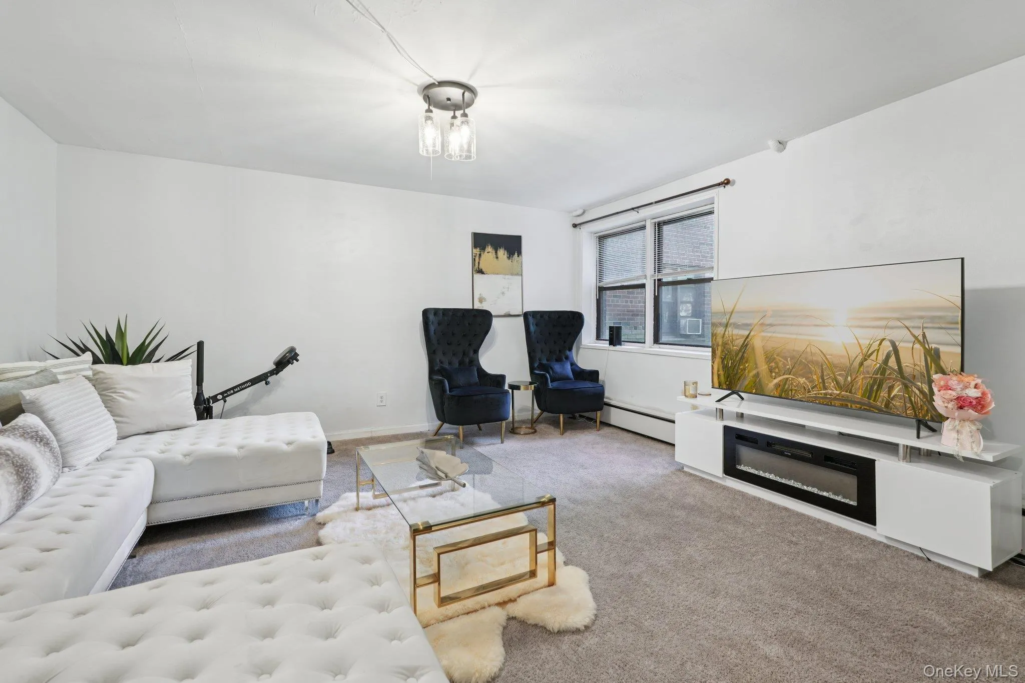 Living area featuring carpet flooring and a baseboard radiator Living area featuring carpet flooring and a baseboard radiator