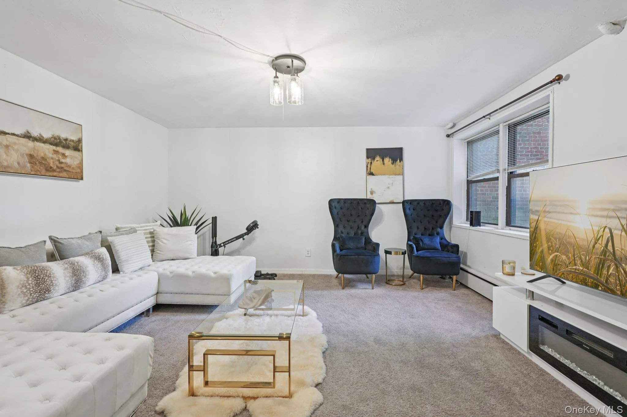 Living area with carpet and a baseboard radiator Living area with carpet and a baseboard radiator