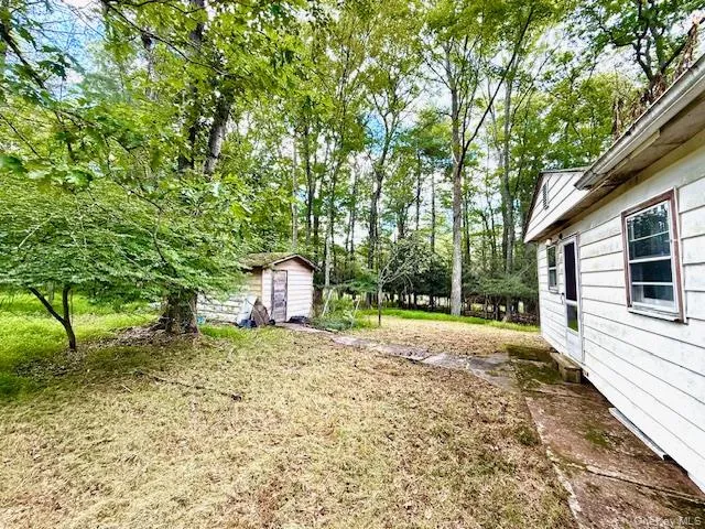 Yard with Shed Yard with Shed
