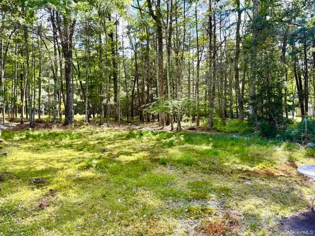 8 Anna Drive, Lumberland, NY, 1 Bedroom Bedrooms, 4 Rooms Rooms,1 BathroomBathrooms,Residential,For Rent,Anna,0,904163 8 Anna Drive, Lumberland, NY, 1 Bedroom Bedrooms, 4 Rooms Rooms,1 BathroomBathrooms,Residential,For Rent,Anna,0,904163