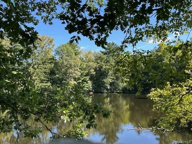 Water view featuring a forest Water view featuring a forest