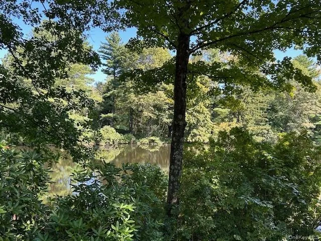 View of tree filled area with a water view View of tree filled area with a water view