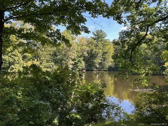 Water view featuring a heavily wooded area Water view featuring a heavily wooded area