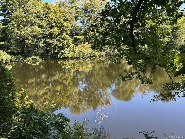 Water view featuring a heavily wooded area Water view featuring a heavily wooded area