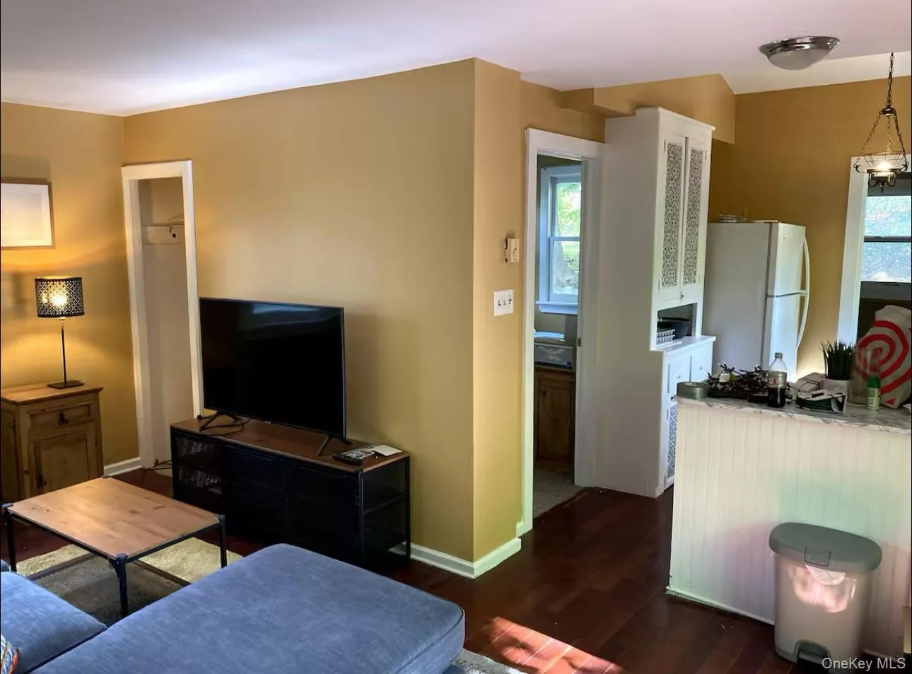 Living room with dark wood-type flooring and baseboards Living room with dark wood-type flooring and baseboards