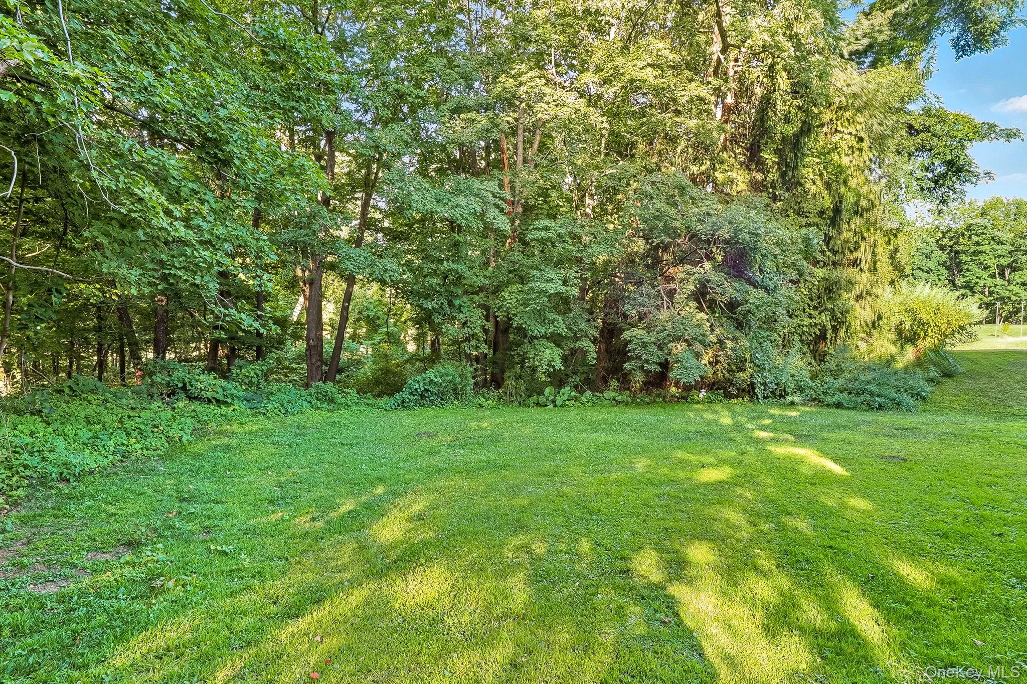 Back yard with wooded view Back yard with wooded view