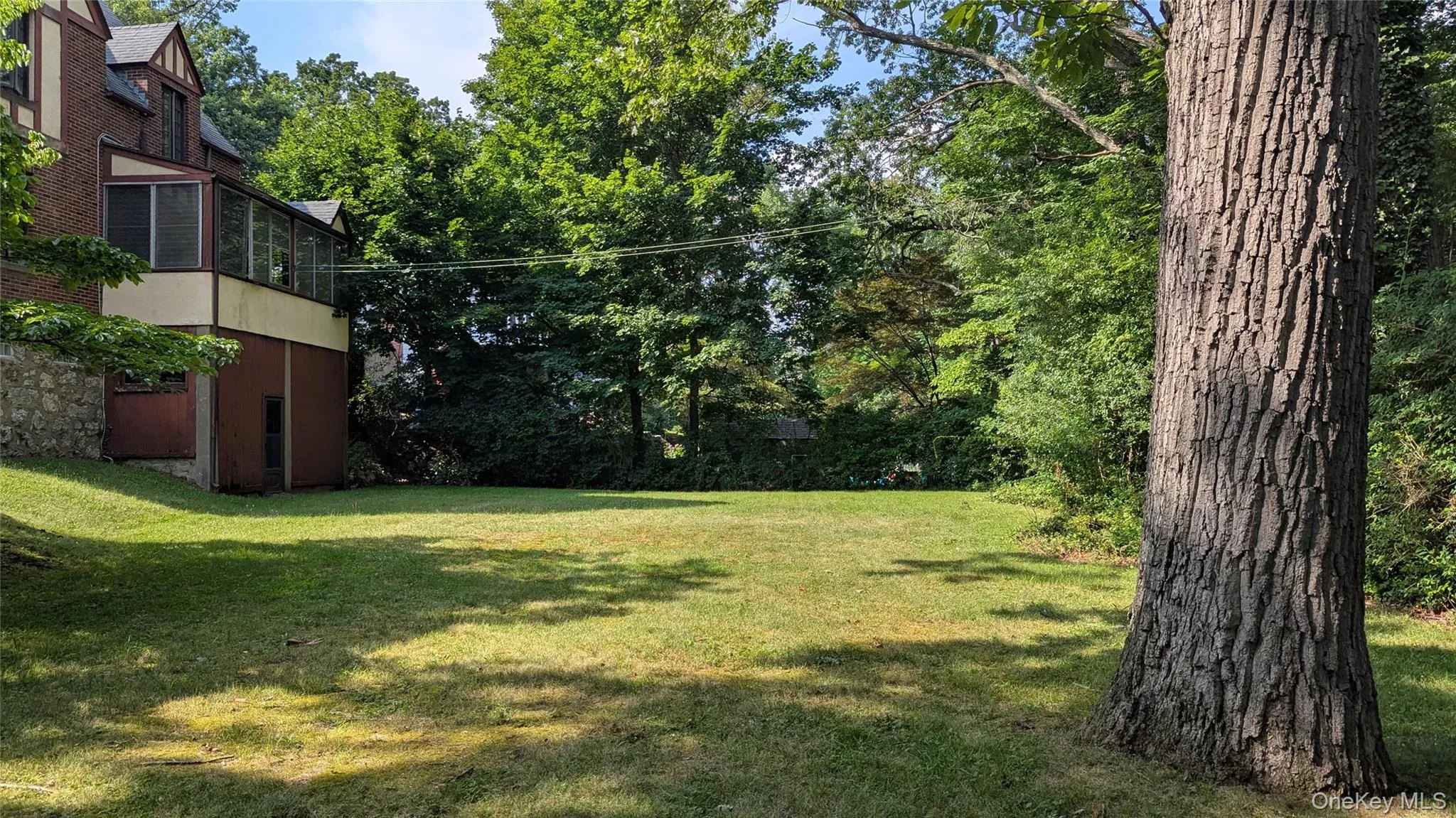 View of grassy yard with view of wooded area View of grassy yard with view of wooded area
