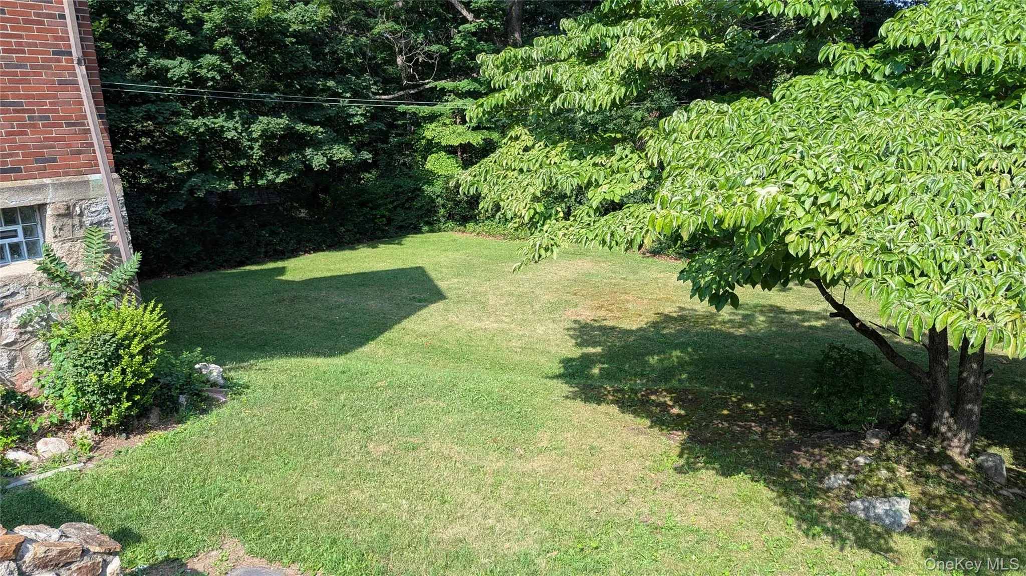View of grassy yard View of grassy yard