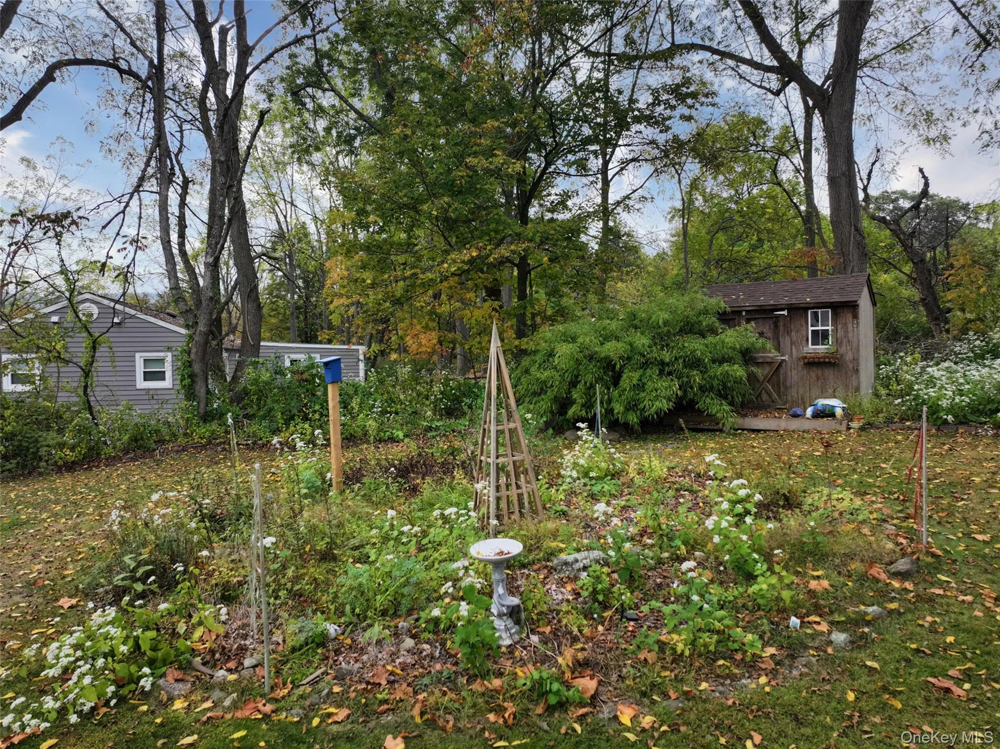 View of flower garden featuring a storage unit and view of wooded area View of flower garden featuring a storage unit and view of wooded area