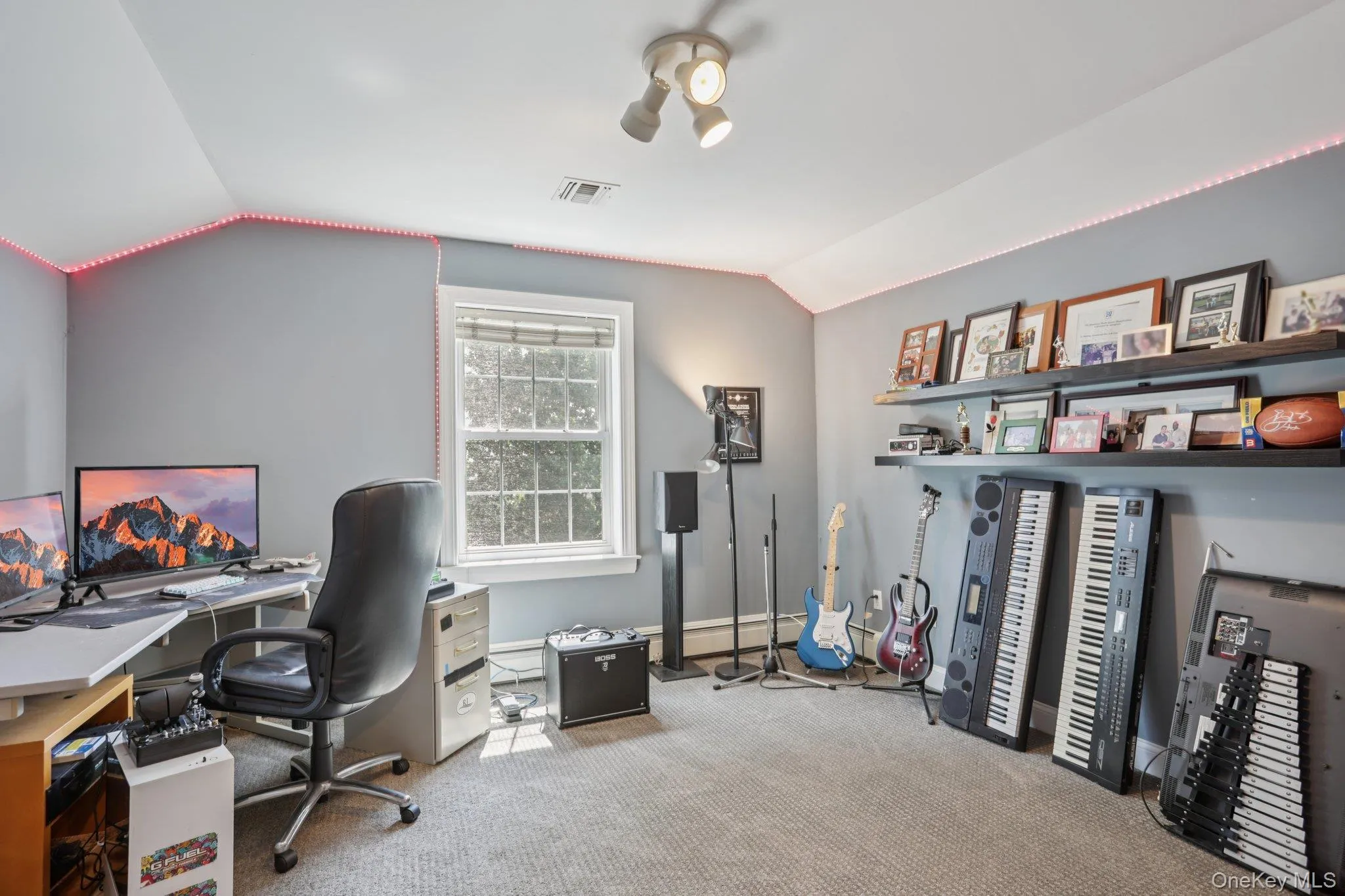 Office space with lofted ceiling and carpet floors Office space with lofted ceiling and carpet floors