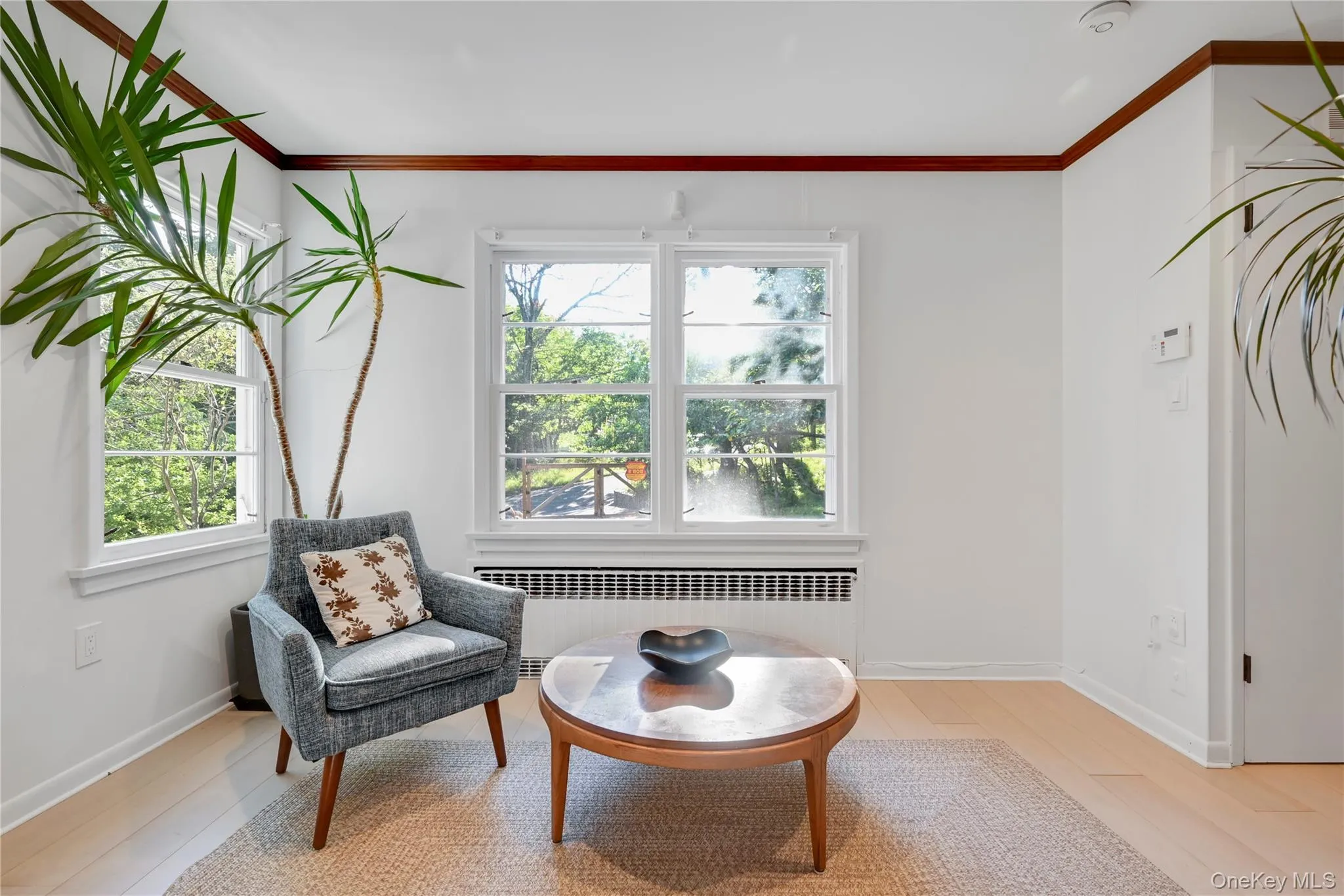 Living area featuring ornamental molding, radiator heating unit, and light wood-type flooring Living area featuring ornamental molding, radiator heating unit, and light wood-type flooring