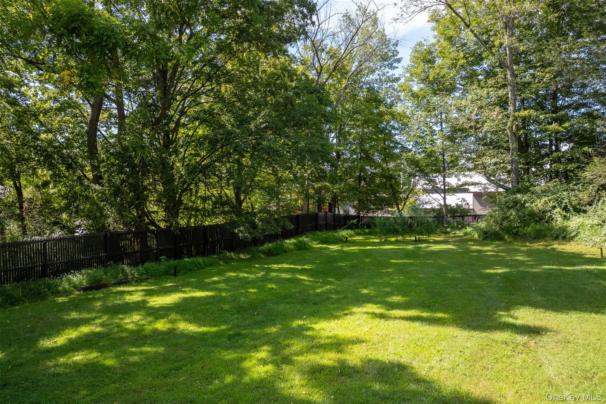 View of yard with view of wooded area View of yard with view of wooded area