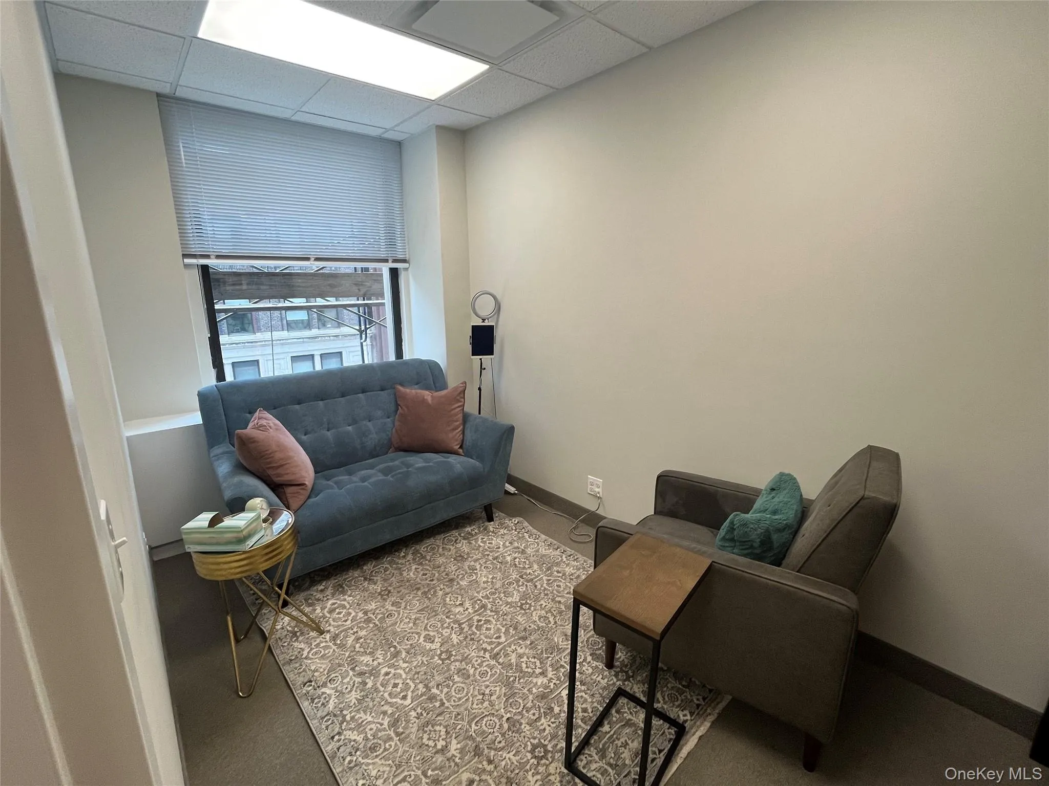 Sitting room featuring a drop ceiling and carpet Sitting room featuring a drop ceiling and carpet
