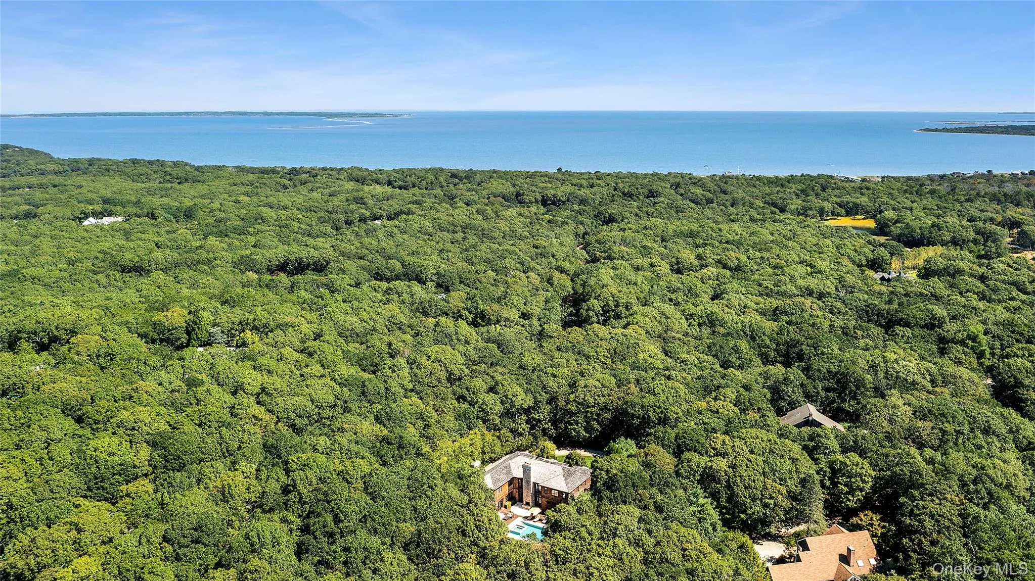 Drone / aerial view of a forest and a nearby body of water