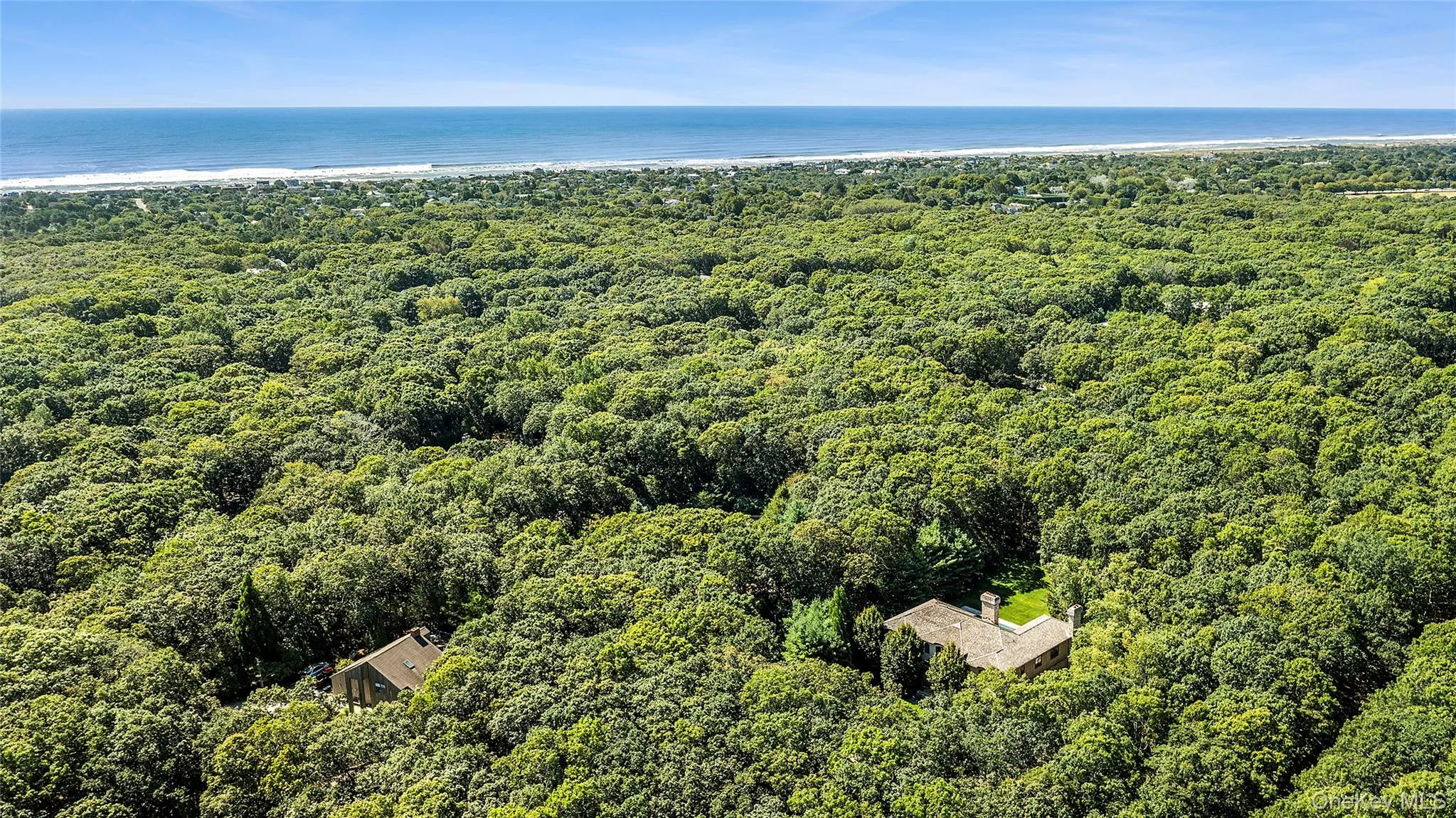 Drone / aerial view of a heavily wooded area