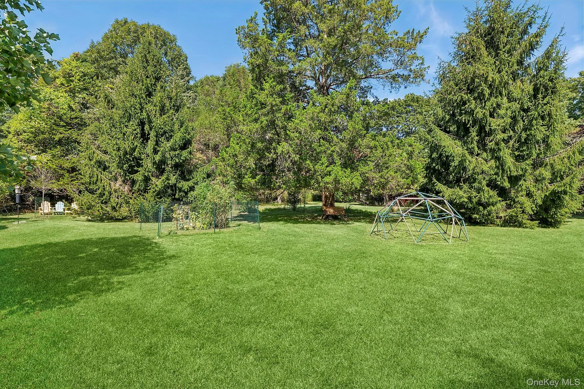 View of grassy yard View of grassy yard