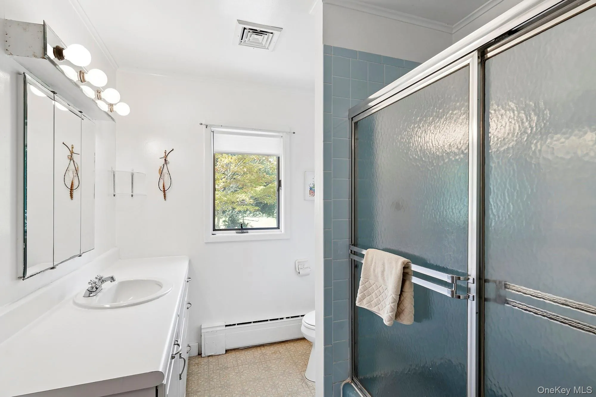 Bathroom with vanity, a baseboard radiator, crown molding, and a shower stall Bathroom with vanity, a baseboard radiator, crown molding, and a shower stall