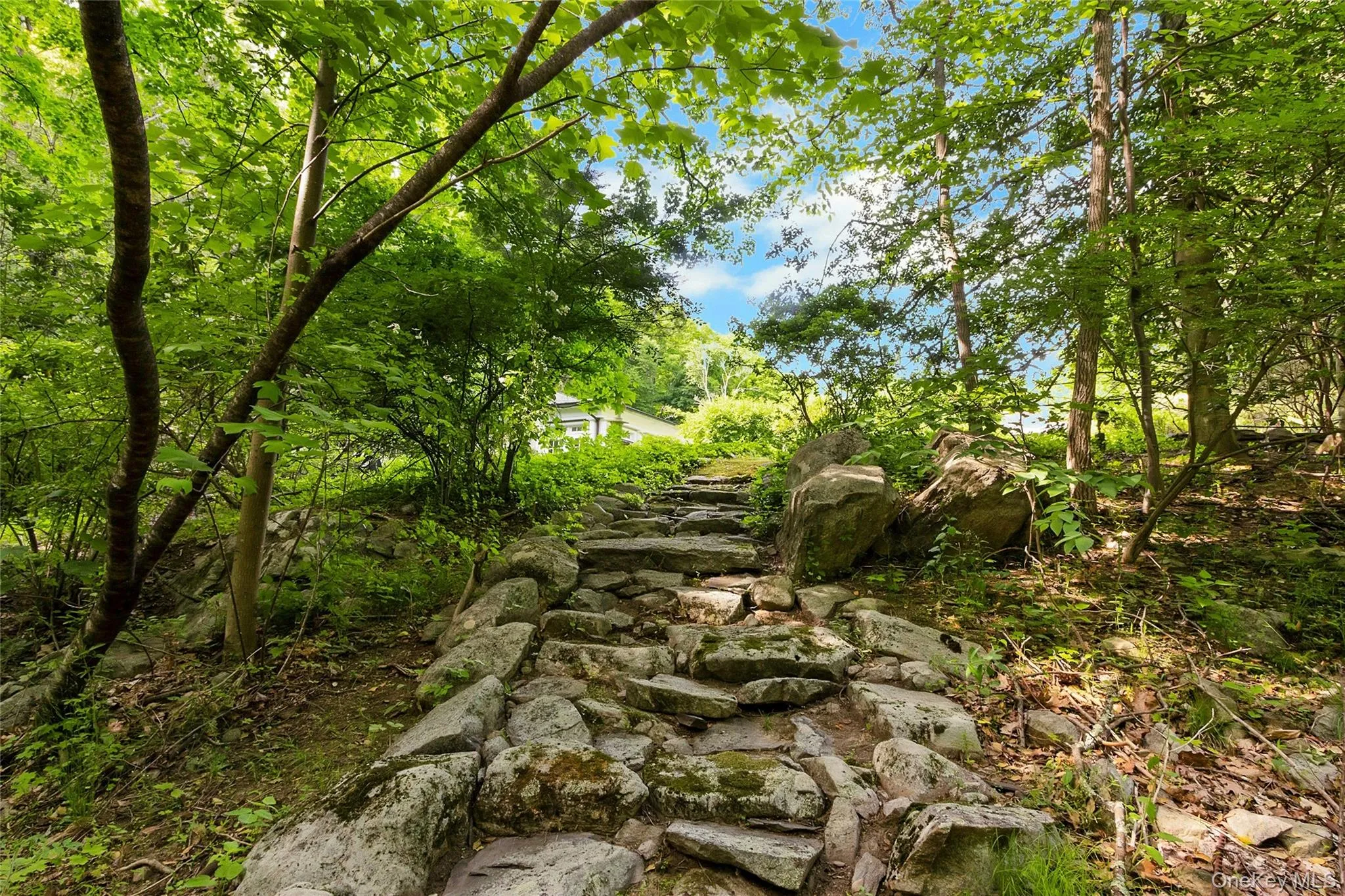55 Mountain Farm Road, Tuxedo, NY, 3 Bedrooms Bedrooms, 7 Rooms Rooms,2 BathroomsBathrooms,Residential,For Rent,Mountain Farm,0,905340 55 Mountain Farm Road, Tuxedo, NY, 3 Bedrooms Bedrooms, 7 Rooms Rooms,2 BathroomsBathrooms,Residential,For Rent,Mountain Farm,0,905340
