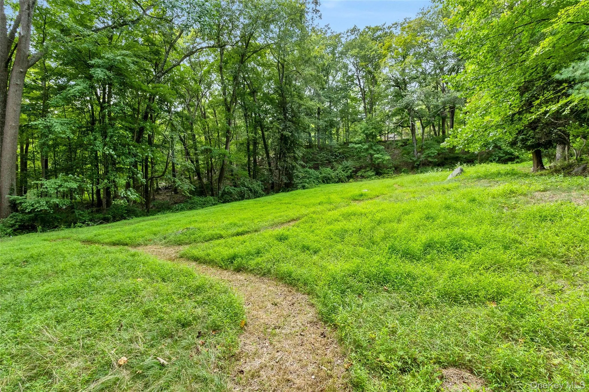 Meadow with walking paths Meadow with walking paths