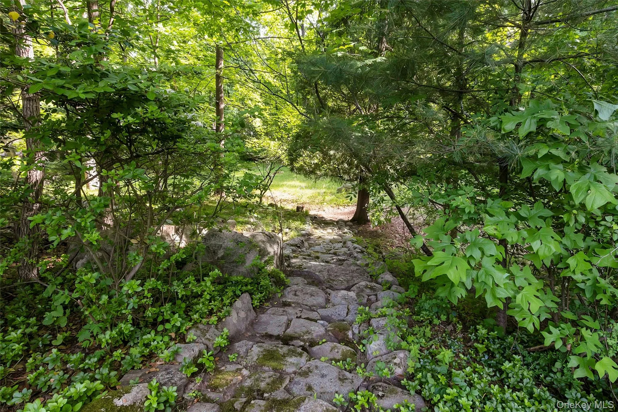 Stone steps to meadow Stone steps to meadow