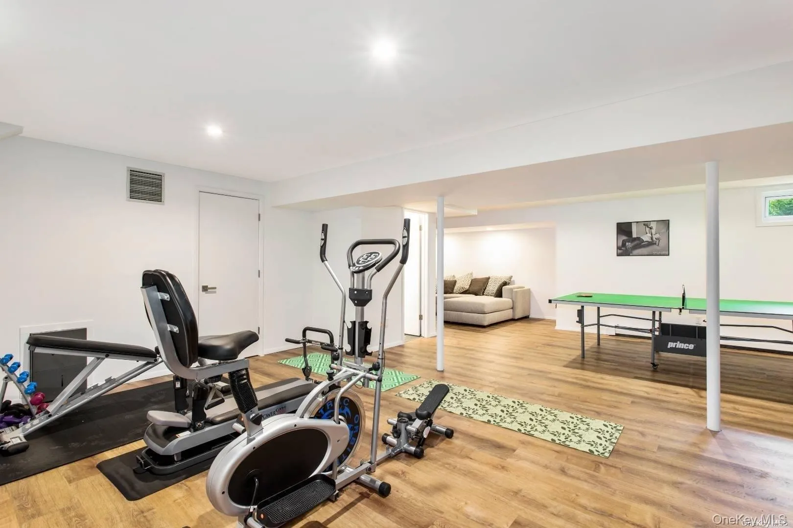 Lower Level with Gym Lower Level with Gym