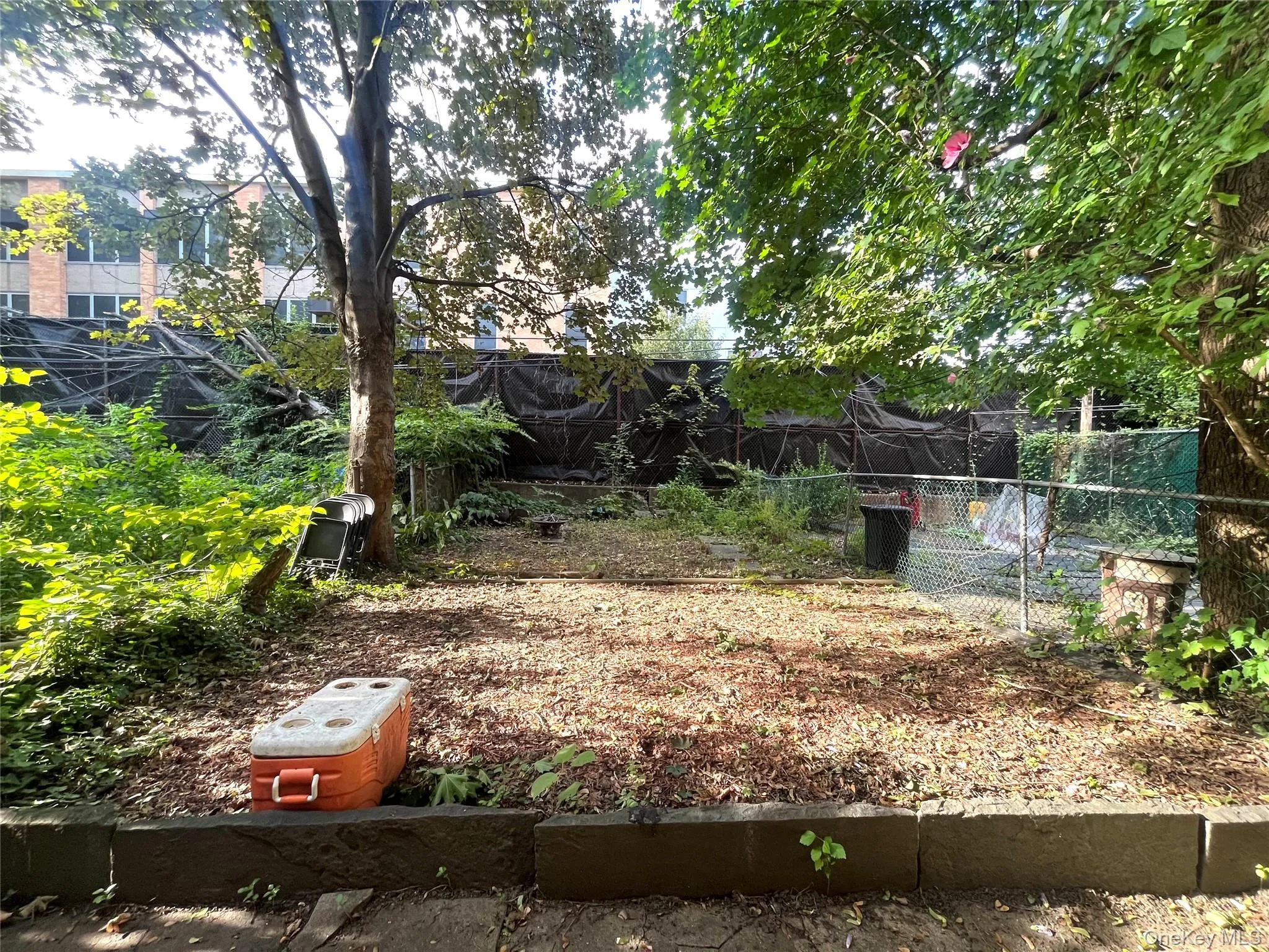 View of yard View of yard