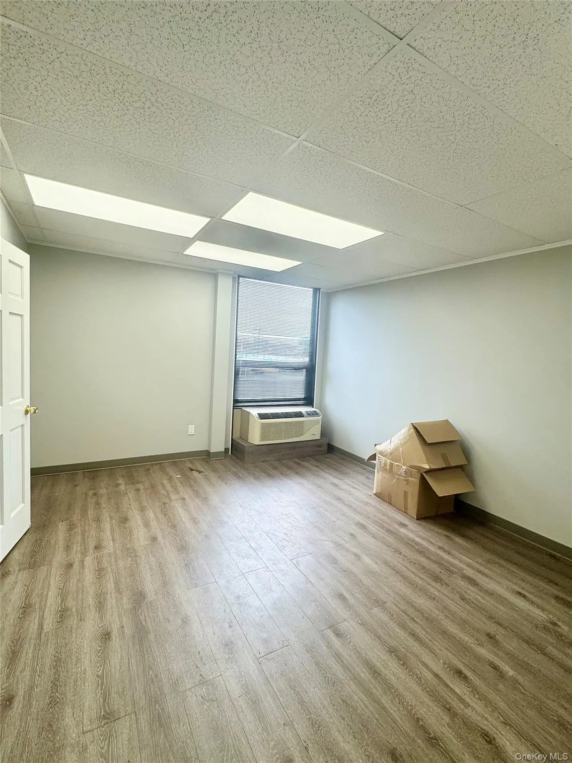 Basement with light wood-type flooring and a paneled ceiling Basement with light wood-type flooring and a paneled ceiling