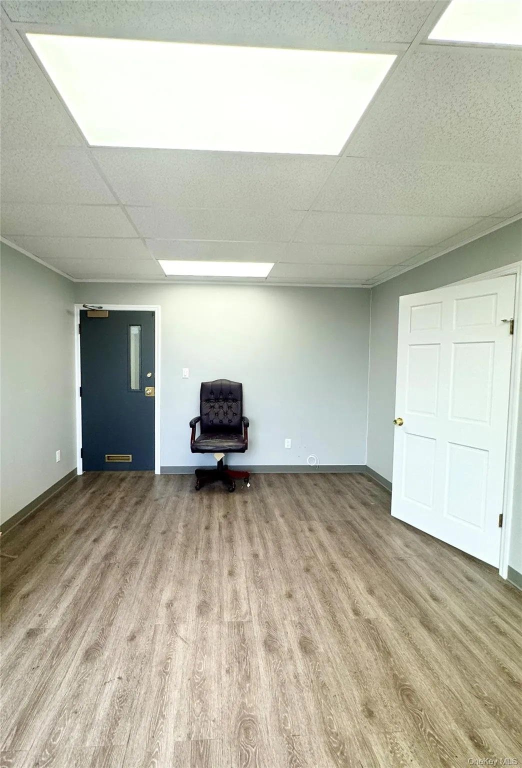 Below grade area featuring light wood-type flooring and a drop ceiling Below grade area featuring light wood-type flooring and a drop ceiling