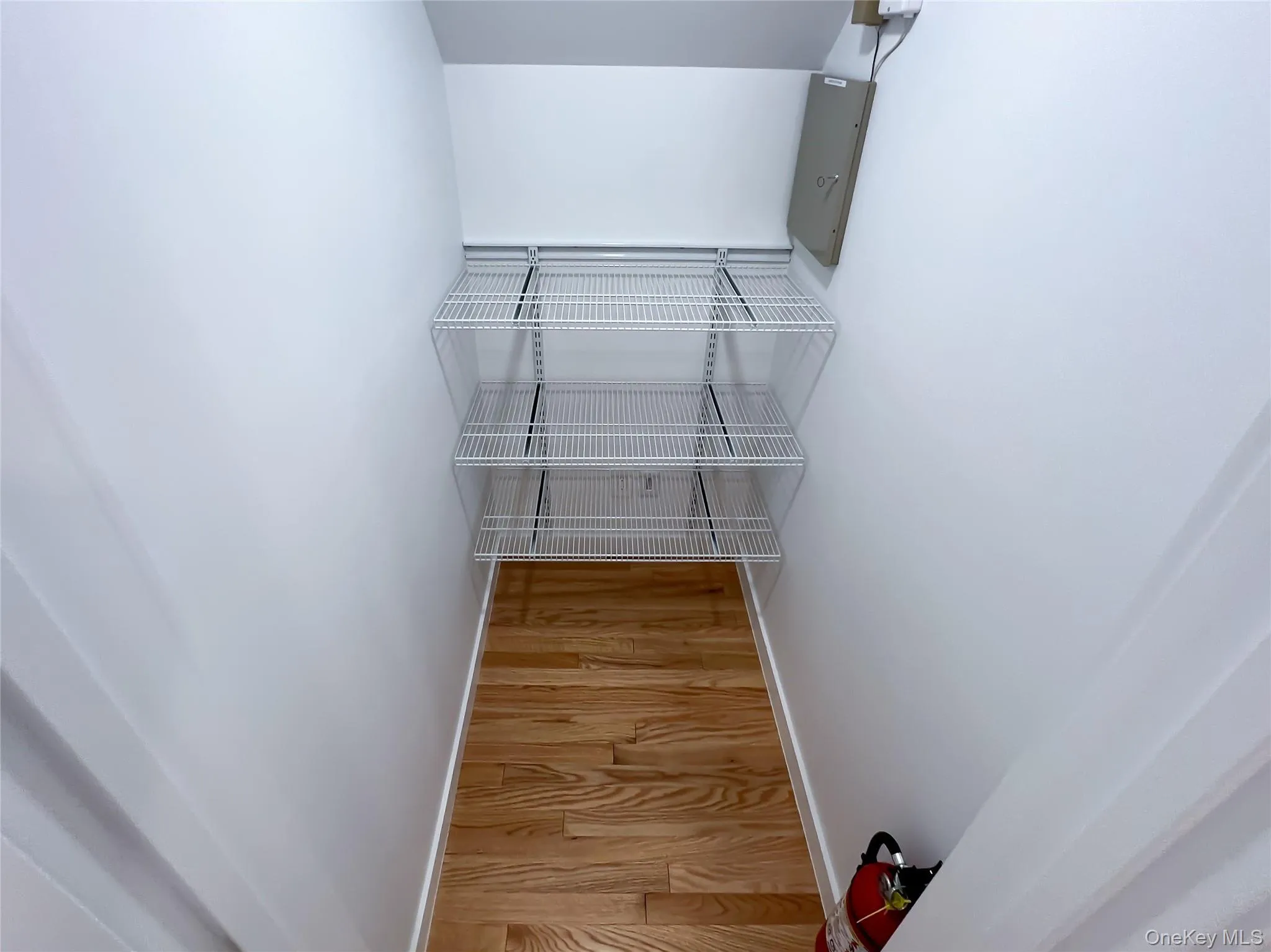 Spacious closet featuring light wood finished floors Spacious closet featuring light wood finished floors