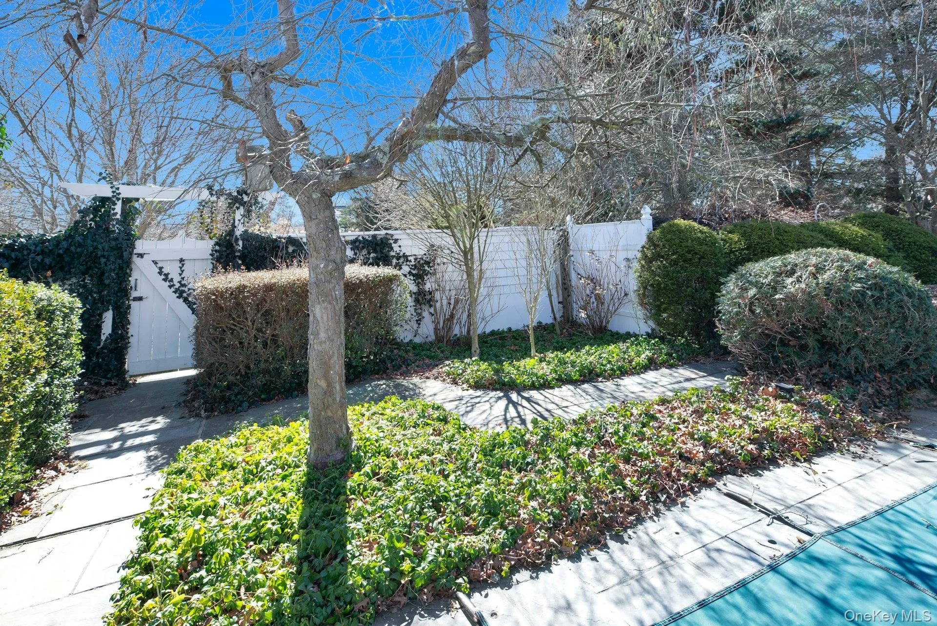 To the circular driveway and front yard from pool with private gate To the circular driveway and front yard from pool with private gate