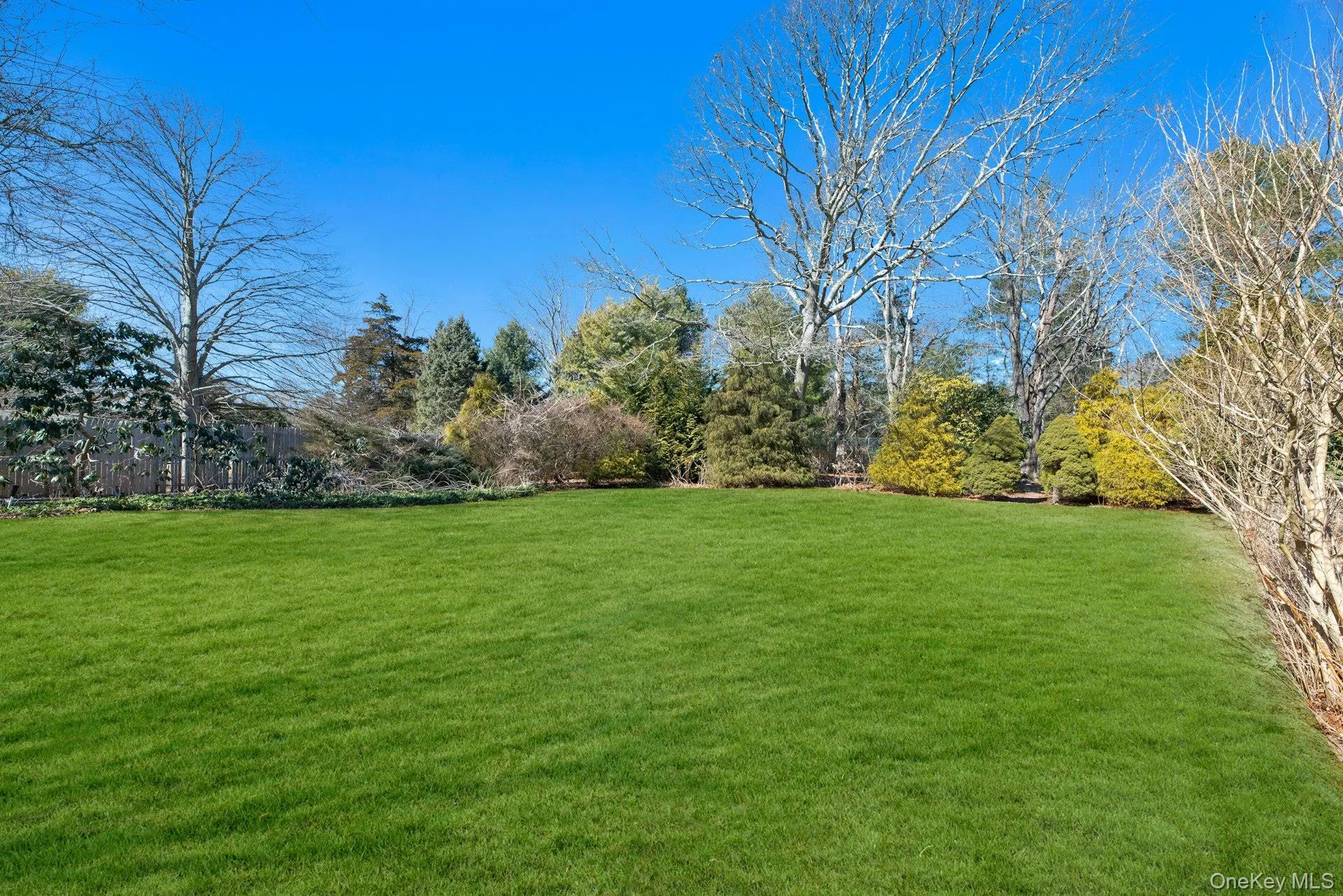 Park Like Backyard Park Like Backyard