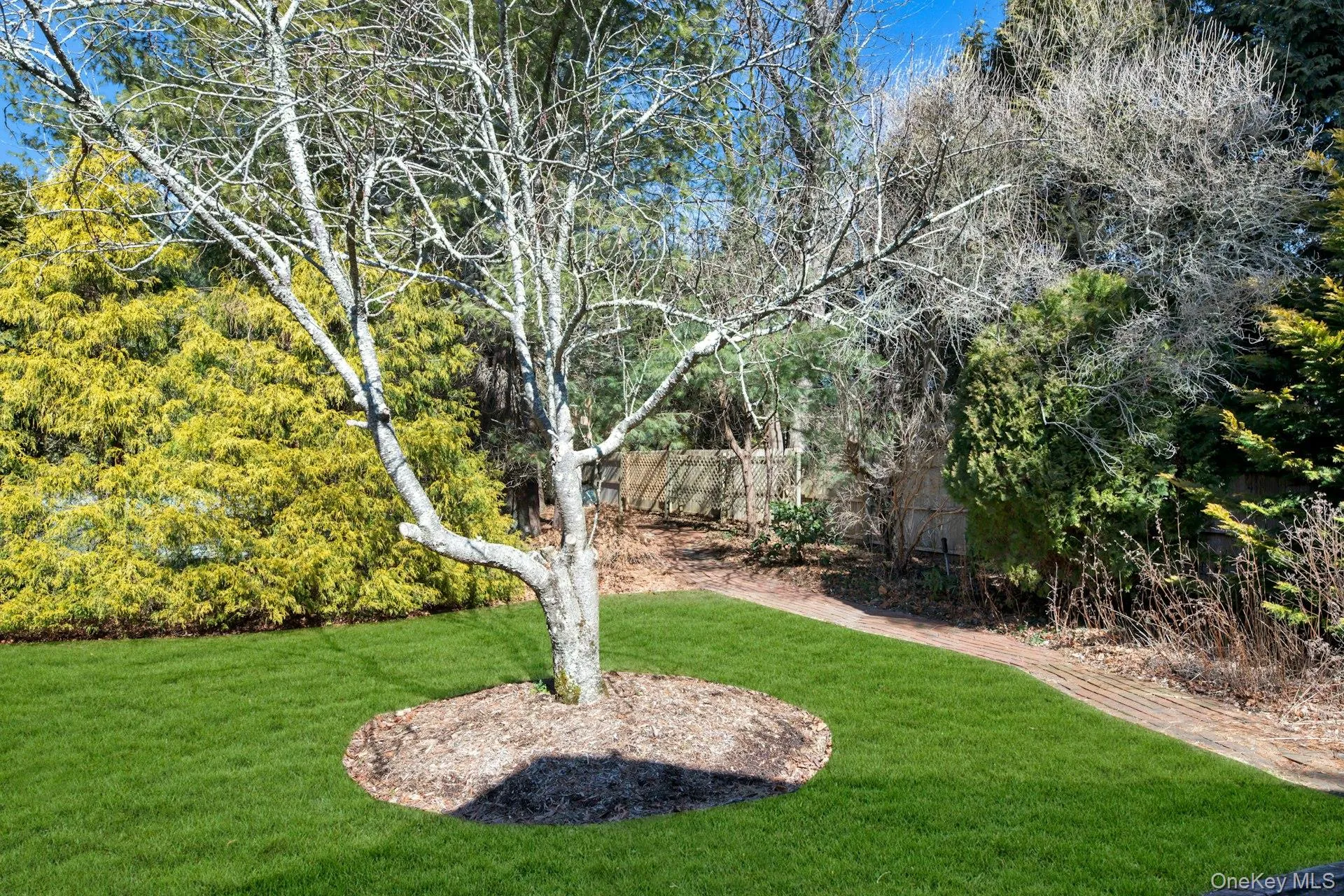 Park Like Landscaping Park Like Landscaping