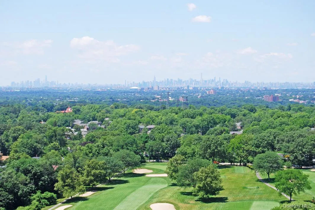 Aerial view of skyline and a tree filled landscape Aerial view of skyline and a tree filled landscape