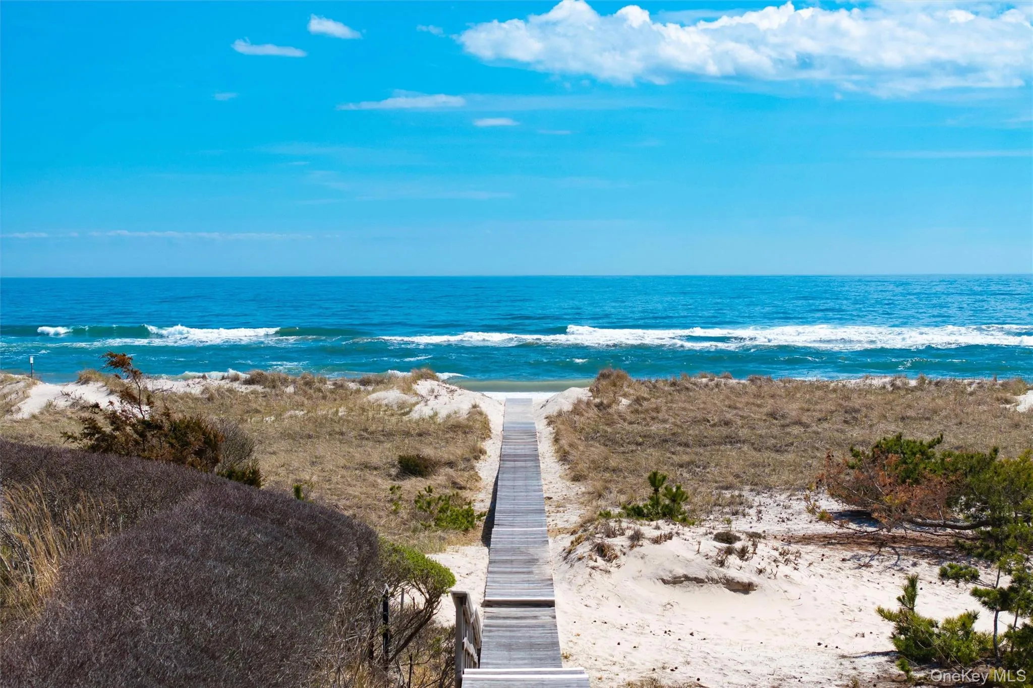 274 Dune Road, Southampton, NY, 1 Bedroom Bedrooms, 4 Rooms Rooms,1 BathroomBathrooms,Residential,For Rent,Dune,0,905709 274 Dune Road, Southampton, NY, 1 Bedroom Bedrooms, 4 Rooms Rooms,1 BathroomBathrooms,Residential,For Rent,Dune,0,905709