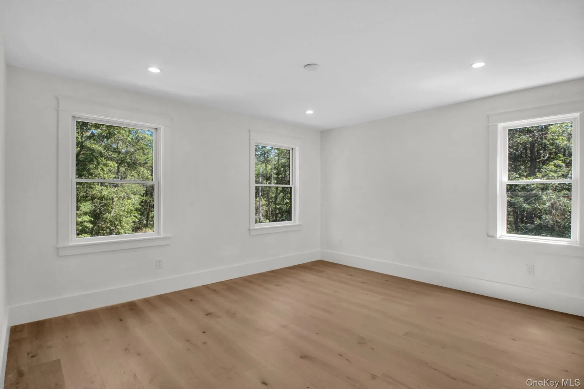 Empty room with healthy amount of natural light, recessed lighting, and light wood-style flooring Empty room with healthy amount of natural light, recessed lighting, and light wood-style flooring