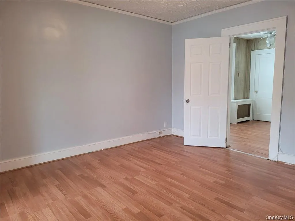 Unfurnished room with crown molding, a textured ceiling, light wood finished floors, and radiator Unfurnished room with crown molding, a textured ceiling, light wood finished floors, and radiator