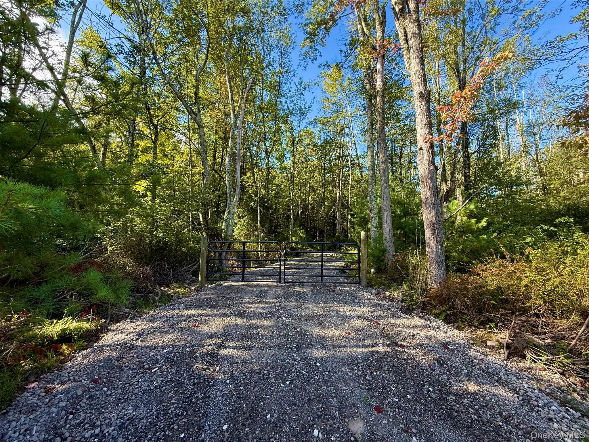 View of street with a gate, a forest view, and a gated entry View of street with a gate, a forest view, and a gated entry