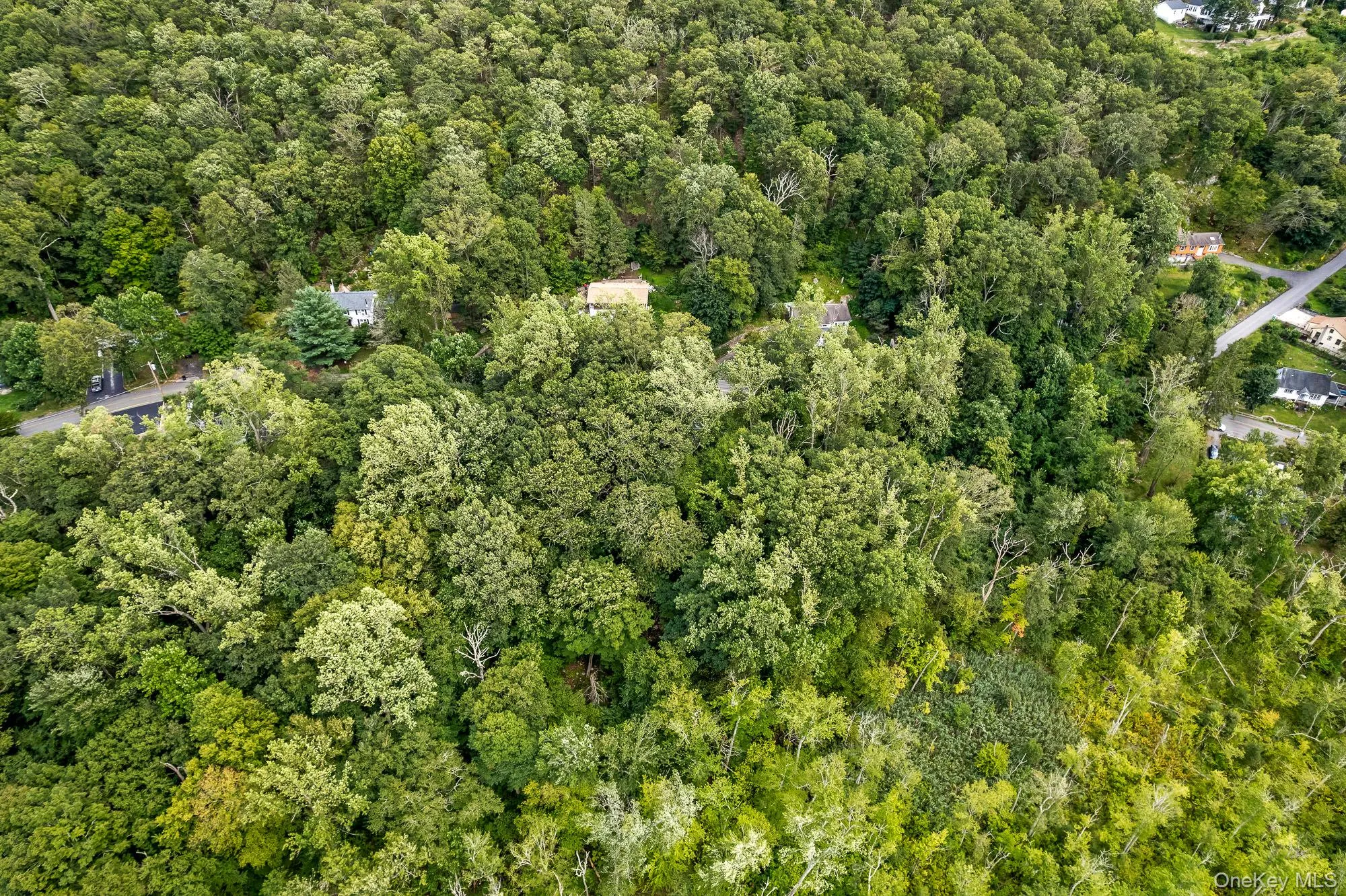View of property location featuring a forest View of property location featuring a forest