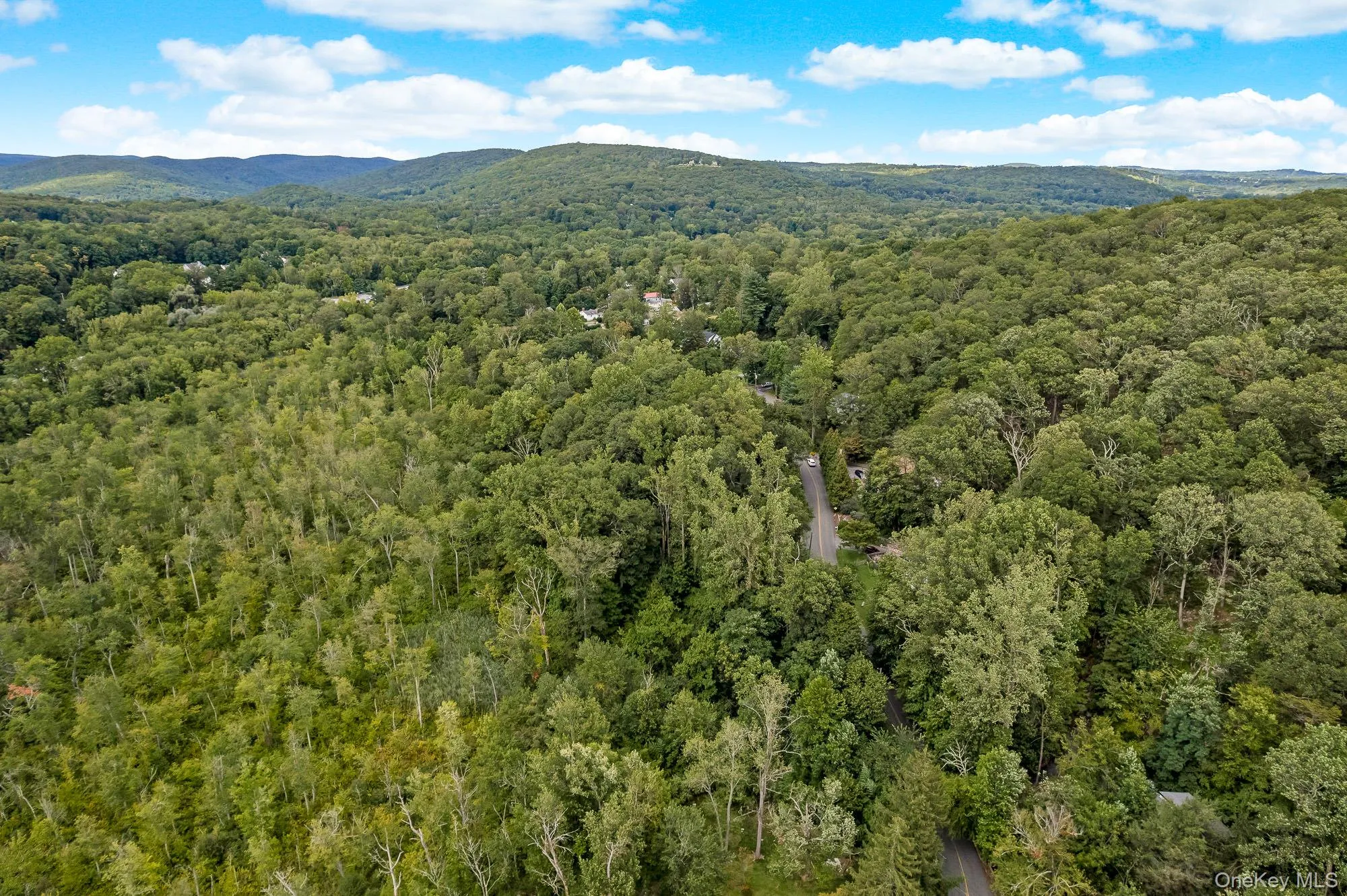 Aerial view of mountains and a forest Aerial view of mountains and a forest