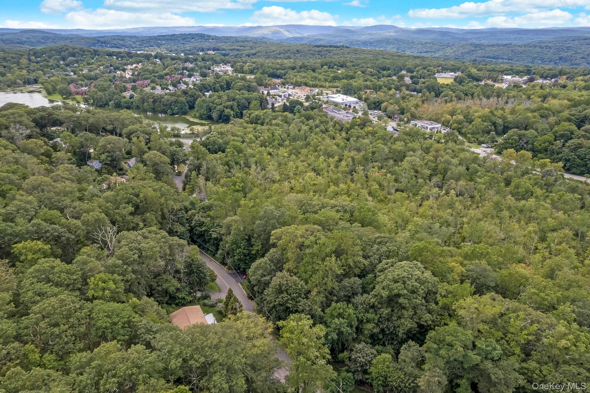 Aerial view of property's location featuring a forest and a water and mountain view Aerial view of property's location featuring a forest and a water and mountain view