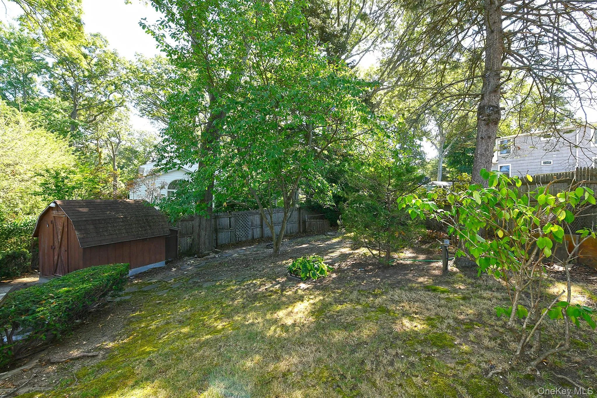 View of yard featuring a shed and view of wooded area View of yard featuring a shed and view of wooded area