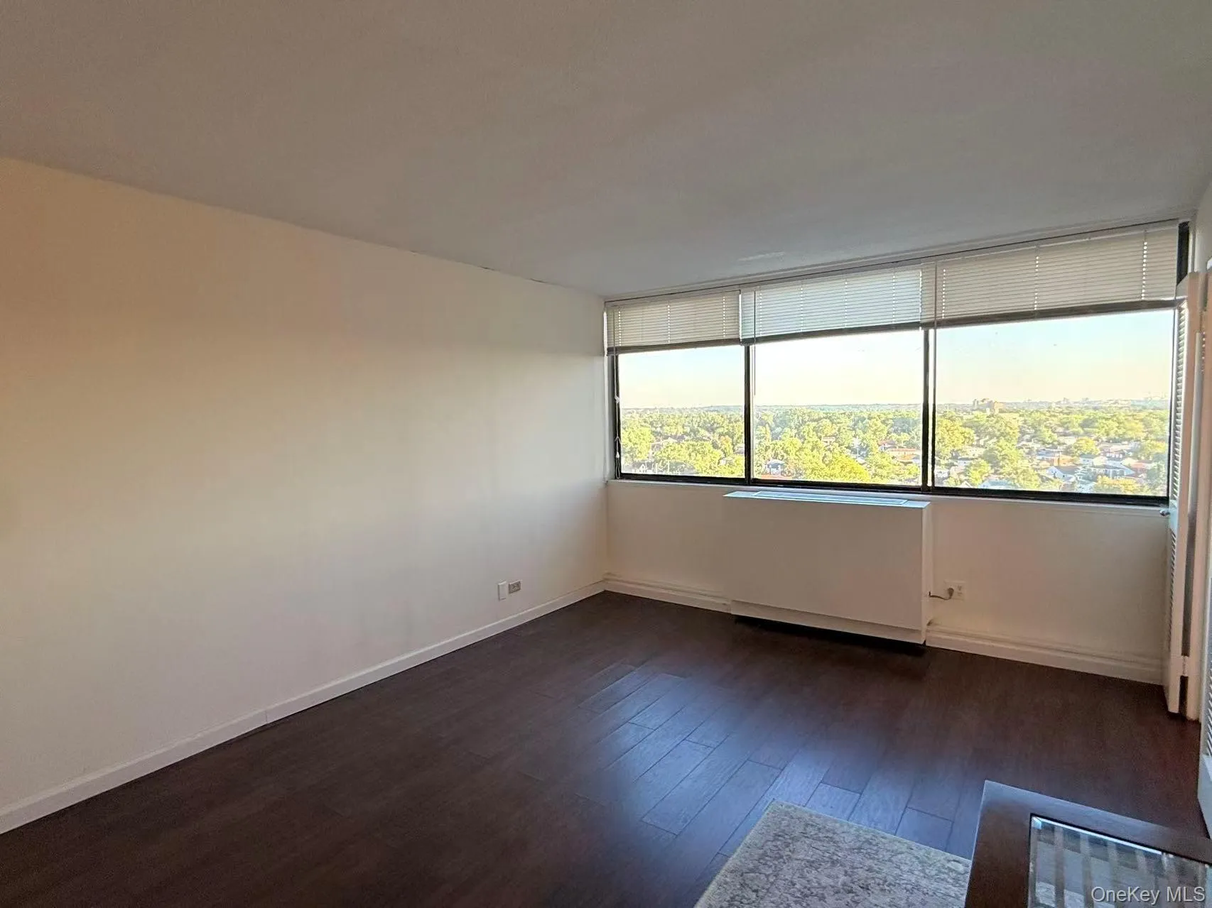 Spare room with dark wood-style floors and baseboards Spare room with dark wood-style floors and baseboards