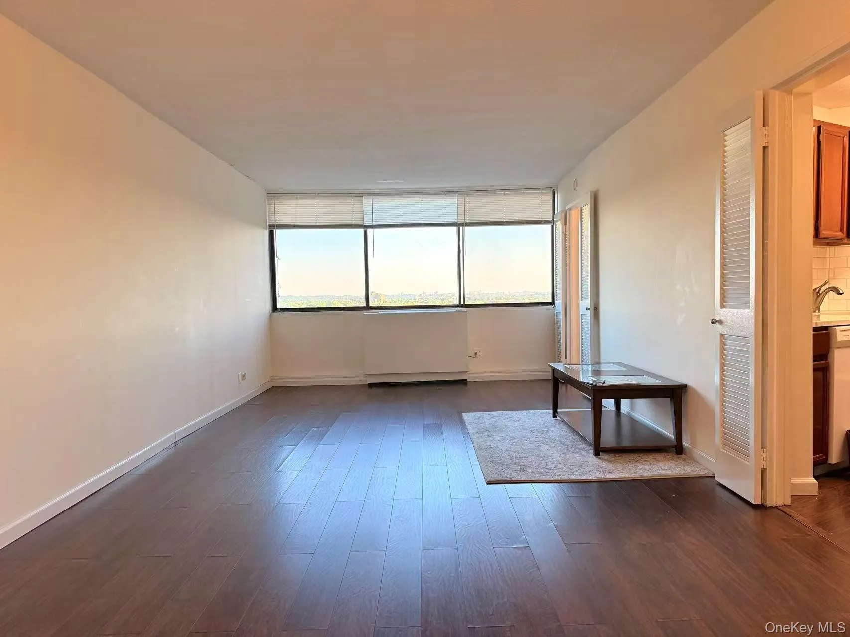 Spare room with dark wood-style floors and baseboards Spare room with dark wood-style floors and baseboards