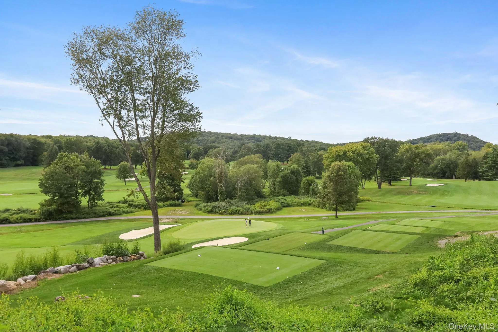 View of from backyard View of from backyard