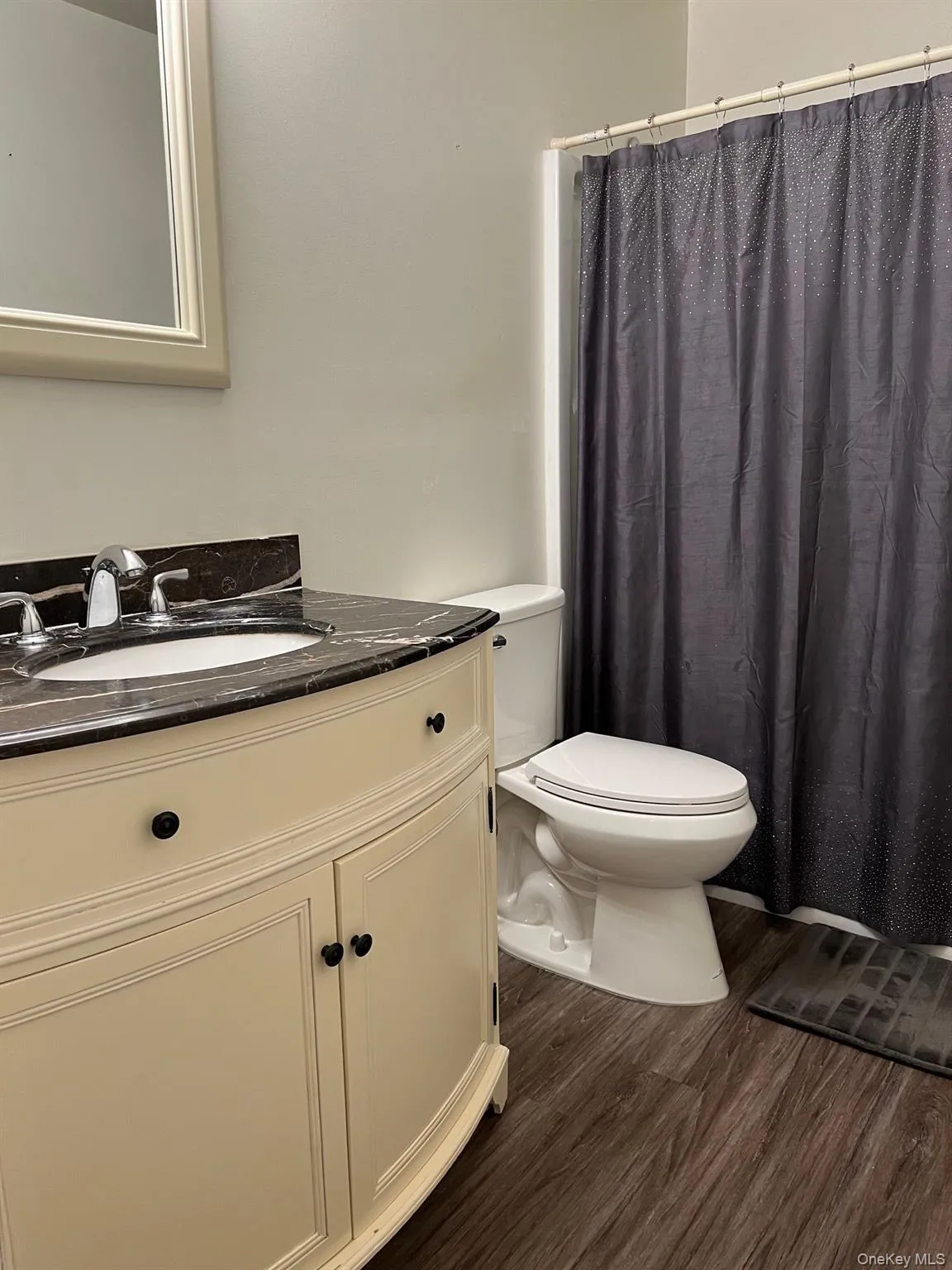 Bathroom with vanity, dark wood-style flooring, and curtained shower Bathroom with vanity, dark wood-style flooring, and curtained shower