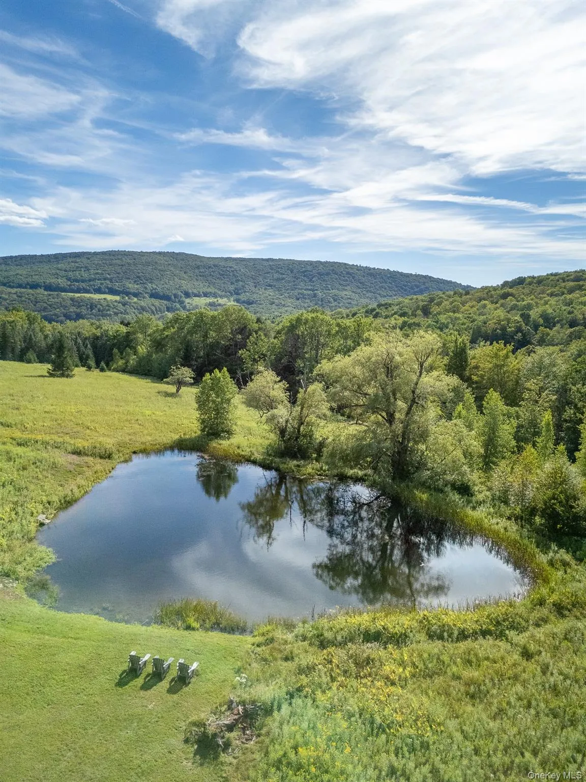 Drone / aerial view of a forest and a nearby body of water Drone / aerial view of a forest and a nearby body of water