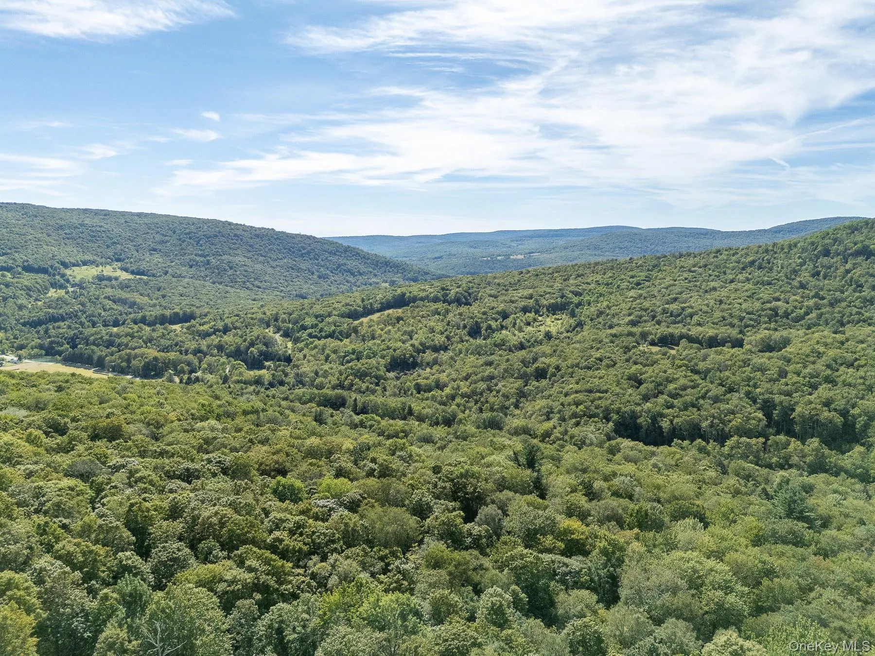 View of mountain backdrop featuring a forest View of mountain backdrop featuring a forest