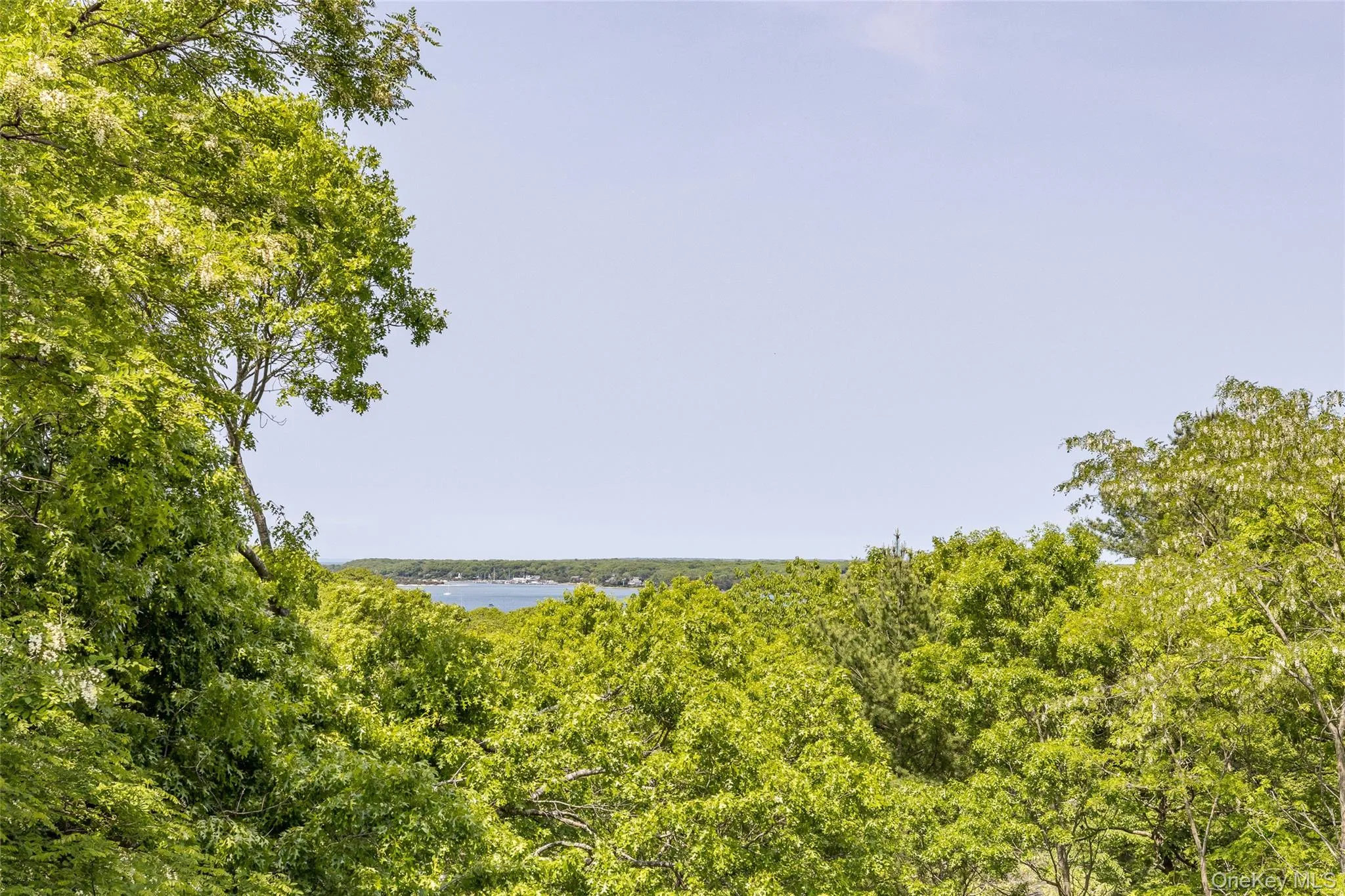 View of tree filled area with a water view View of tree filled area with a water view
