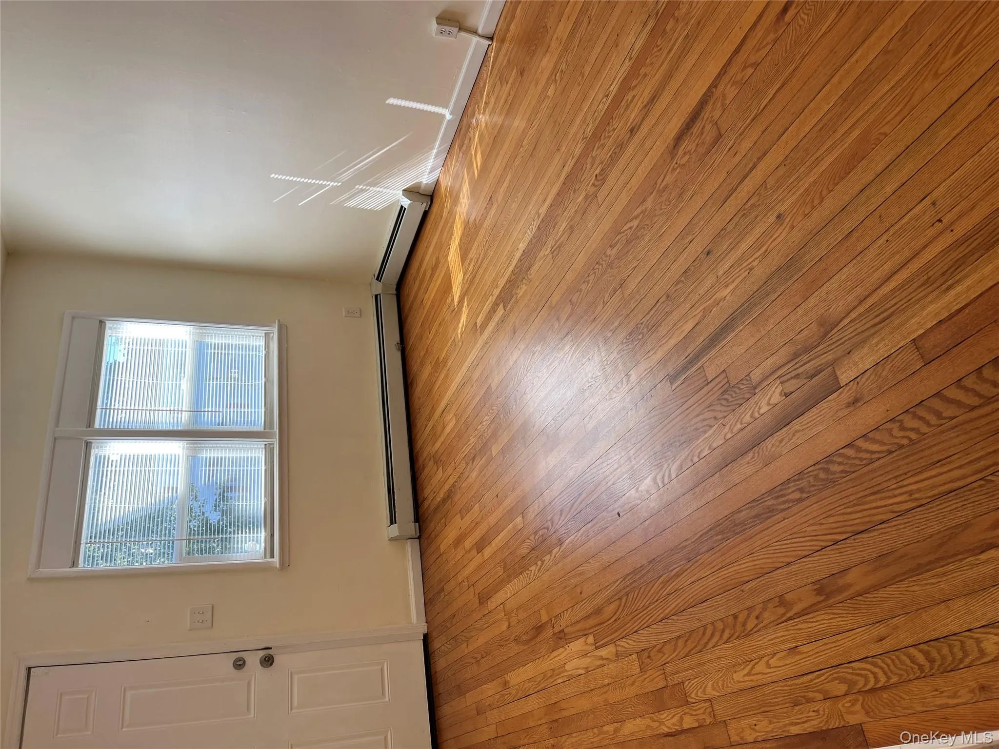 Unfurnished living room featuring plenty of natural light, light wood finished floors, and a baseboard radiator Unfurnished living room featuring plenty of natural light, light wood finished floors, and a baseboard radiator